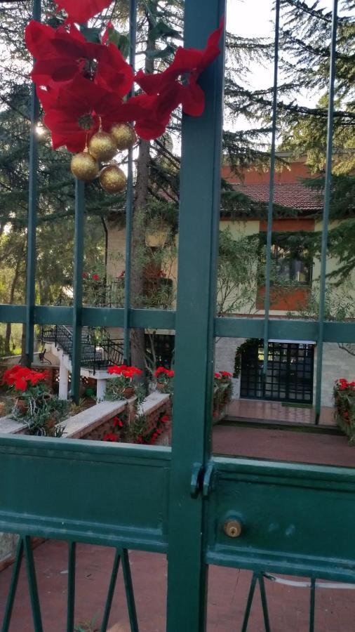 Villa Morgante B&B Pedara Ngoại thất bức ảnh
